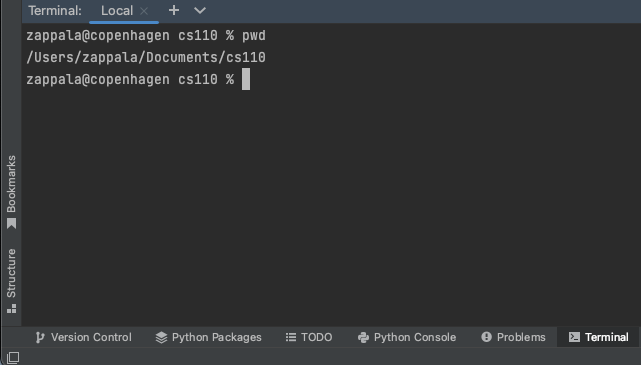 running the pwd command in zsh